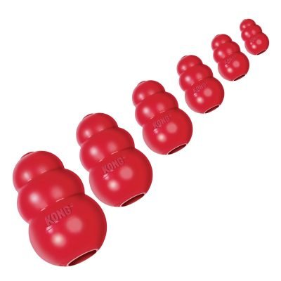 KONG classic kopen