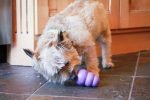 Kong Puppy - Afbeelding 3