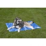 Premium Koelmat Hond - Afbeelding 4
