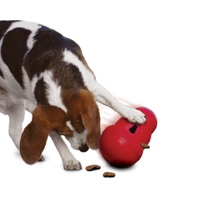 KONGPW2E KONGPW1E+1 KONG Wobbler - Afbeelding 3