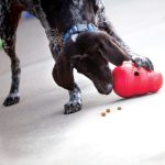 KONG Wobbler - Afbeelding 2